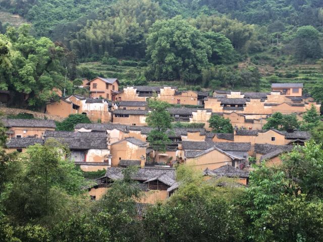 楊家堂村