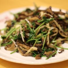 FANG SHAN User Photo