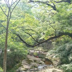 Tiantaibinguancanyinbu User Photo