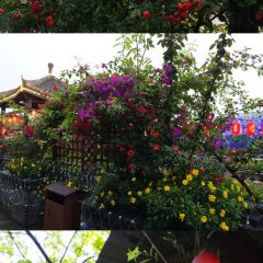 鲜龙井火锅公园(南山店) User Photo