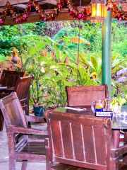 Massage Center Ashi Langkawi Sdn. Bhd.