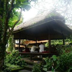 Bebek Bengil Ubud User Photo