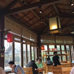 Green Tea User Photo