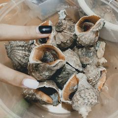德克士(保靖店) User Photo
