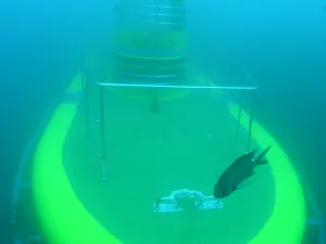 Submarine