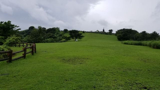 山君不離