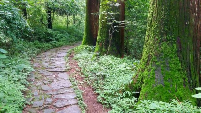天目山景區