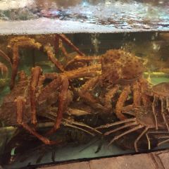 THE KINGDOM OF CRAB User Photo