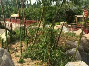 董家院子