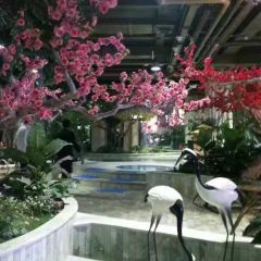 三和酒楼(北胜路店) User Photo