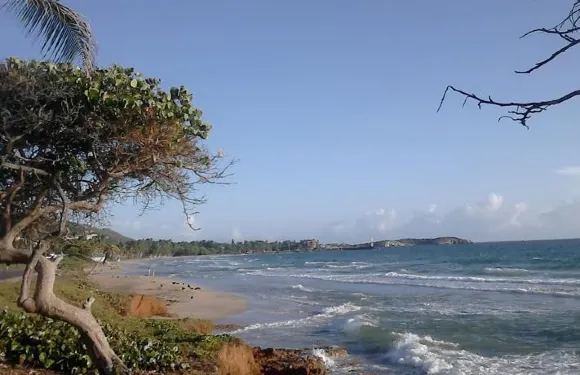 卡薩拉斯特里尼塔裏阿斯賓館