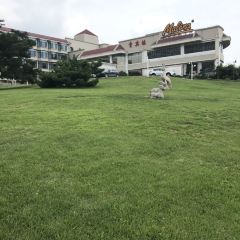 池州碧桂园凤凰酒店·餐厅 User Photo