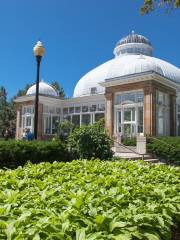 Allan Gardens