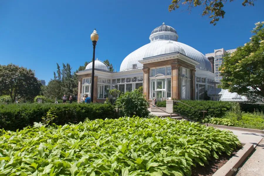 Allan Gardens