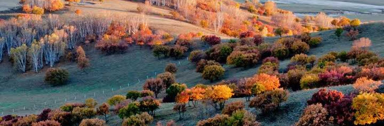 KEN DE JI DA YE WEN HUA GONG DIAN DIAN