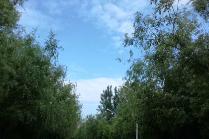 德克士(老汽车站店)