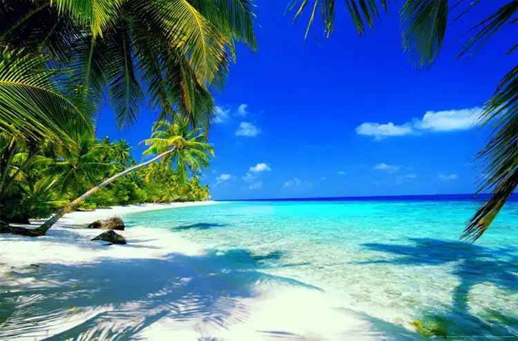 Hotels near Ong Lang Beach