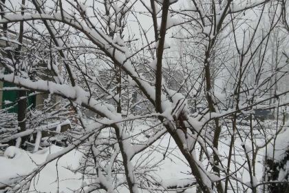 正新鸡排·炸鸡烧烤(师大2店)