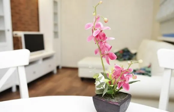 布爾瓦米拉 8號公寓