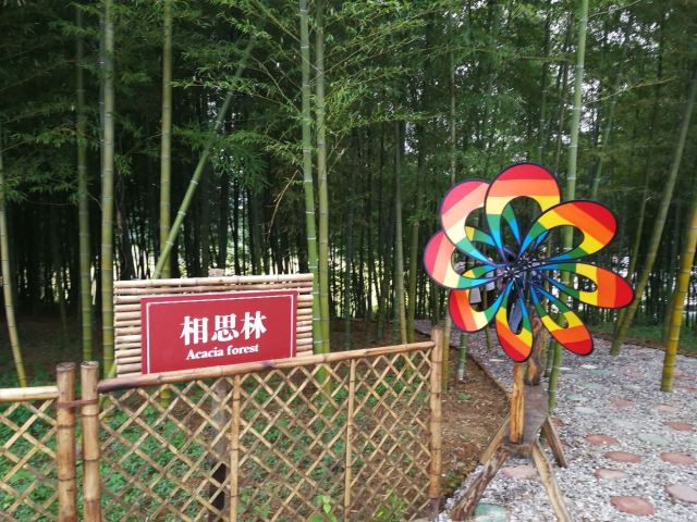 Taiji Wuse Valley
