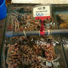 Lamma Rainbow Seafood Restaurant User Photo