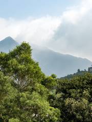 Ngong Ping Plateau