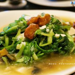 Hakkasan User Photo