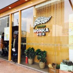 come wonka User Photo