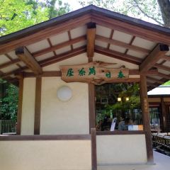 Kasuga Ninai Jyaya User Photo