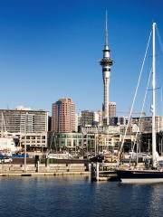 pukekohe travel japan Sky Tower