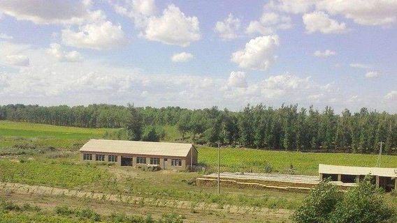 Donggou Wetland Hunting