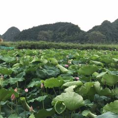普者黑雅贝餐厅 User Photo