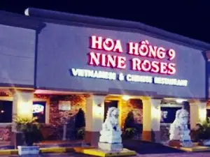 Hoa Hong Nine Roses