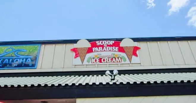 Scoop of Paradise