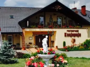 Kasjopeja