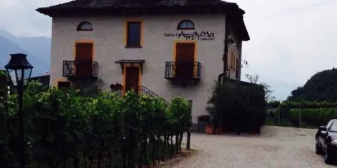 Fattoria l'Amorosa