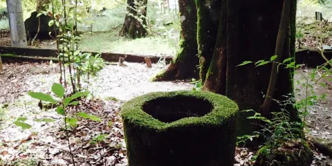 Jidori Sumibiyaki Korian Kirishima