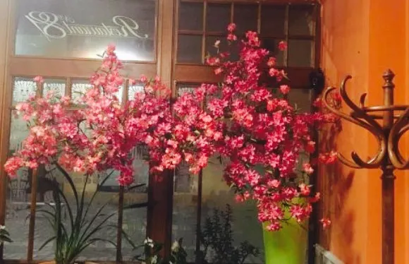 ASIA Restaurace No 89