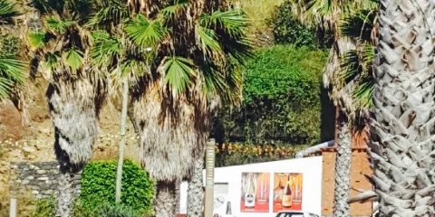 Restaurante Praia da Alagoa