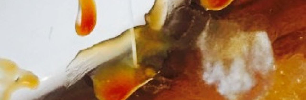 The Watermill Brewers Fayre