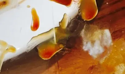 The Watermill Brewers Fayre