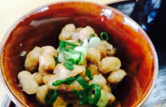 Furusato Kenkomura Bussankan