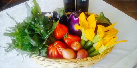 Eno Agriturismo Gallina Giacinto