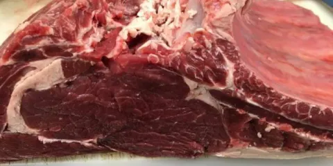 La Brasserie D'alice