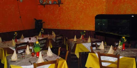 ristorante pizzeria Evergreen