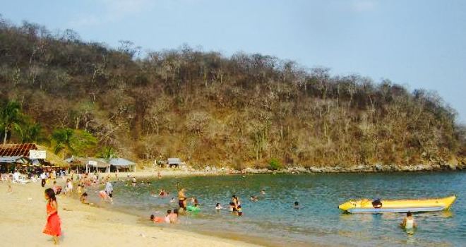 El Camaron Gigante