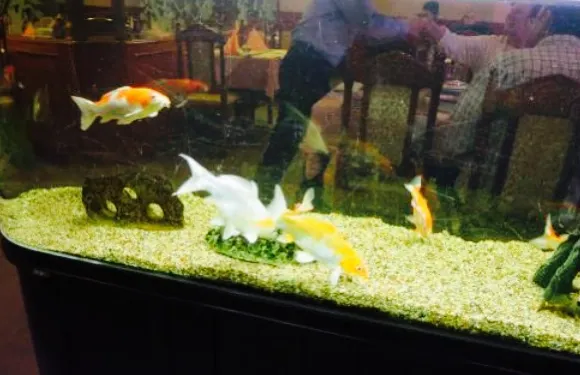 Toan Hoa New Asia Restaurant