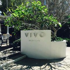 Vivo Palm Cove User Photo