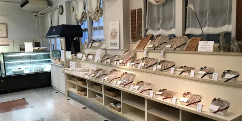 Cafe Freundlieb Ikuta