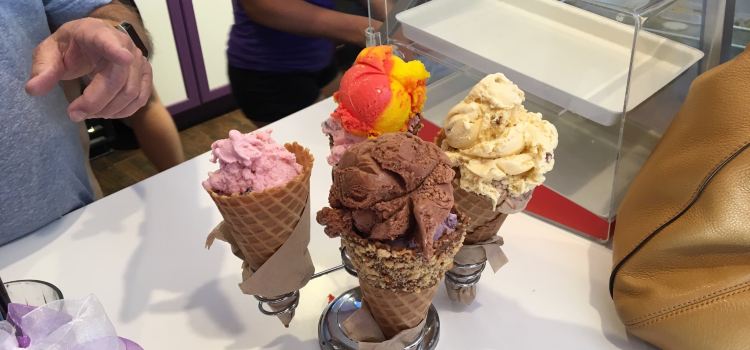 Bobkat's Purple Pie Place